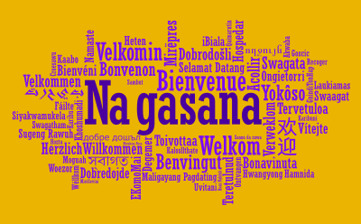 header_collage2
