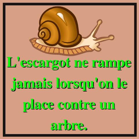 Décoré par : ISSIFOU SOUMANOU Moustapha